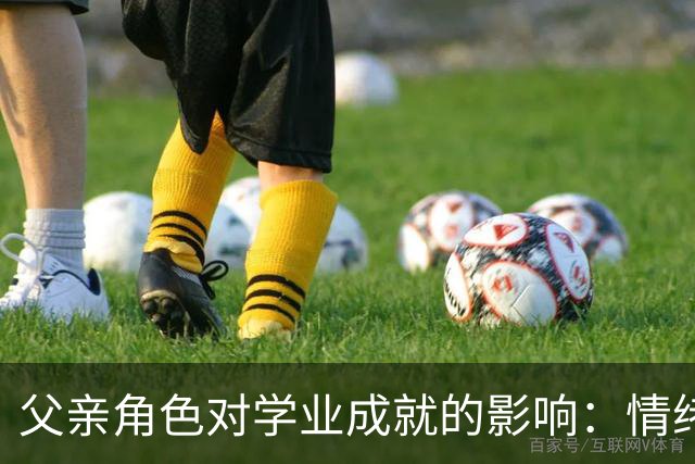 父亲角色对学业成就的影响：情绪稳定性的重要性